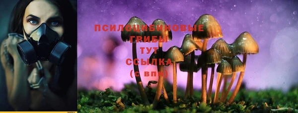 индика Зеленодольск
