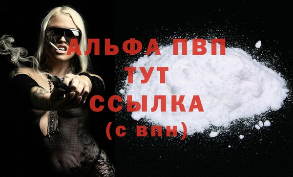 индика Зеленодольск