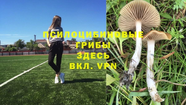 индика Зеленодольск