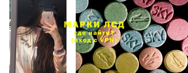 индика Зеленодольск