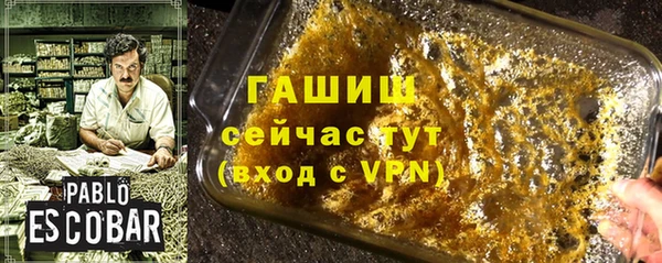 индика Зеленодольск