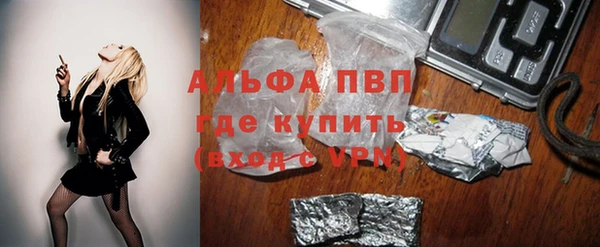 гашик Зерноград