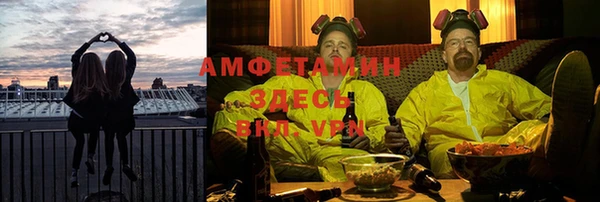 индика Зеленодольск