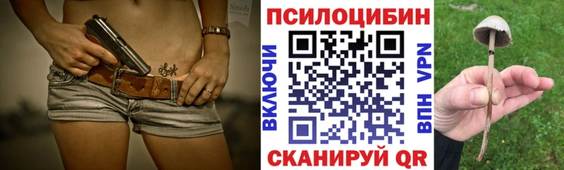где продают наркотики Медынь Псилоцибиновые грибы мицелий